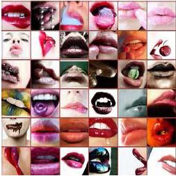 Immagine di bfeebd6a-25ae-4521-81d8-7c9a8cdcd765