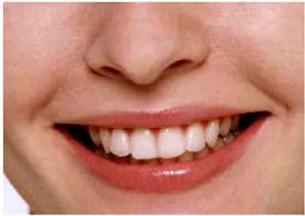 Immagine di 9a61cb34-6df1-4e2e-a0bc-d34752fa531f