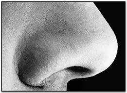 Immagine di 1c6a1c52-505b-4064-87e1-303b15d64861