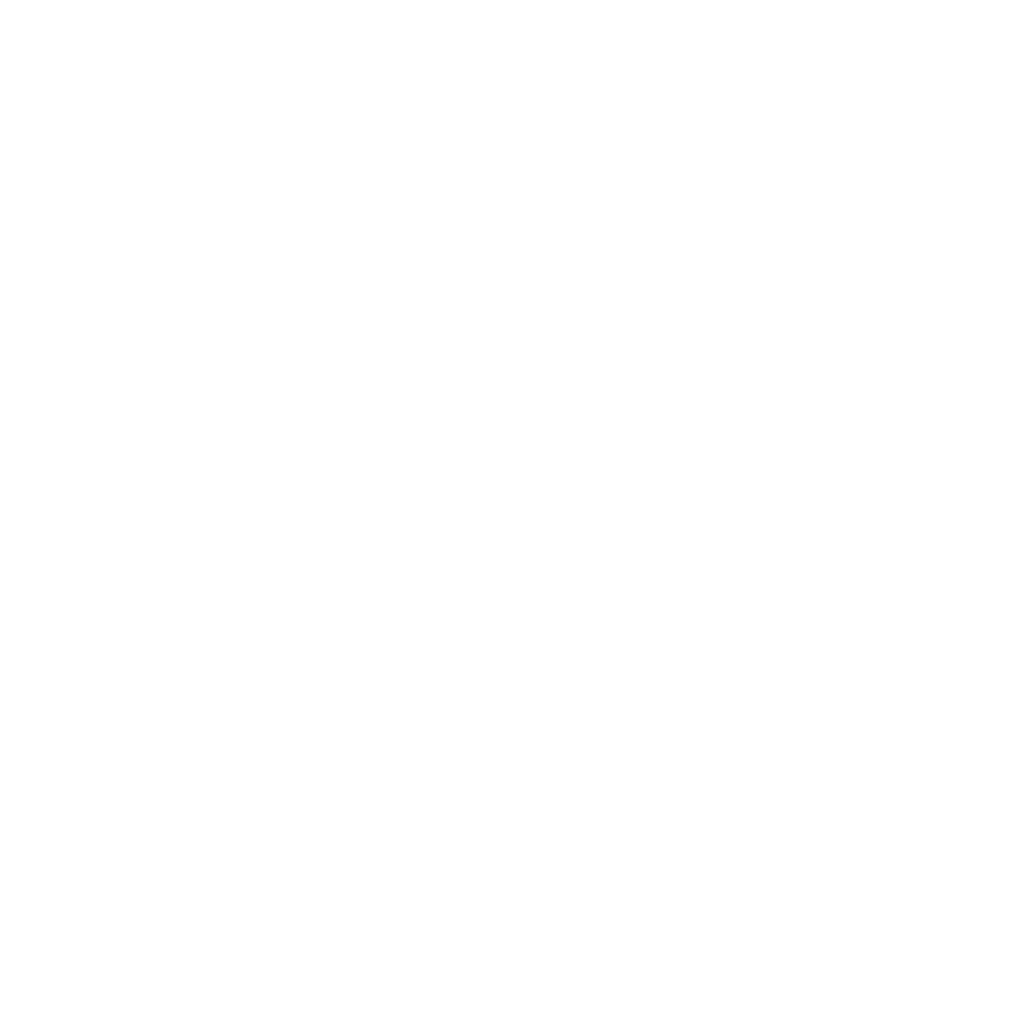 icona Spotify